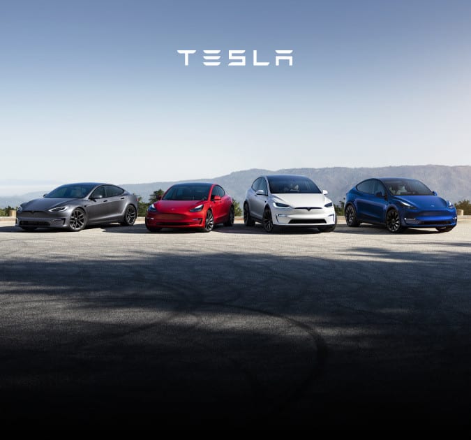 Tesla 车辆访问权限