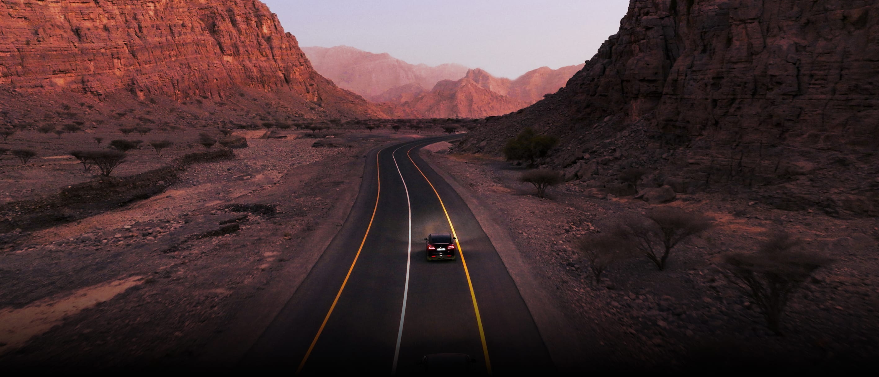 Model S noire roulant sur une route sinueuse 