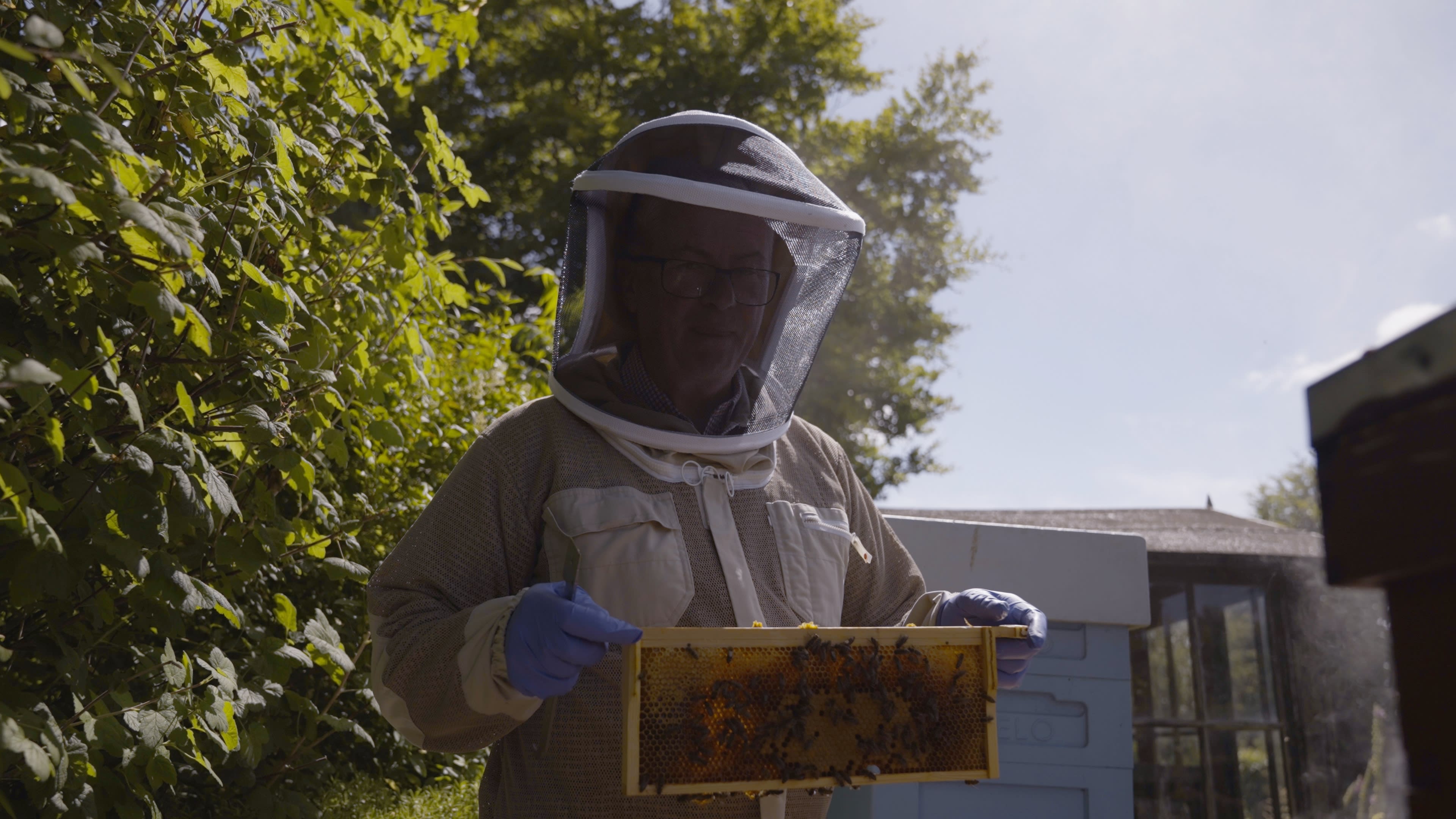 A beekeeper holding a beehive