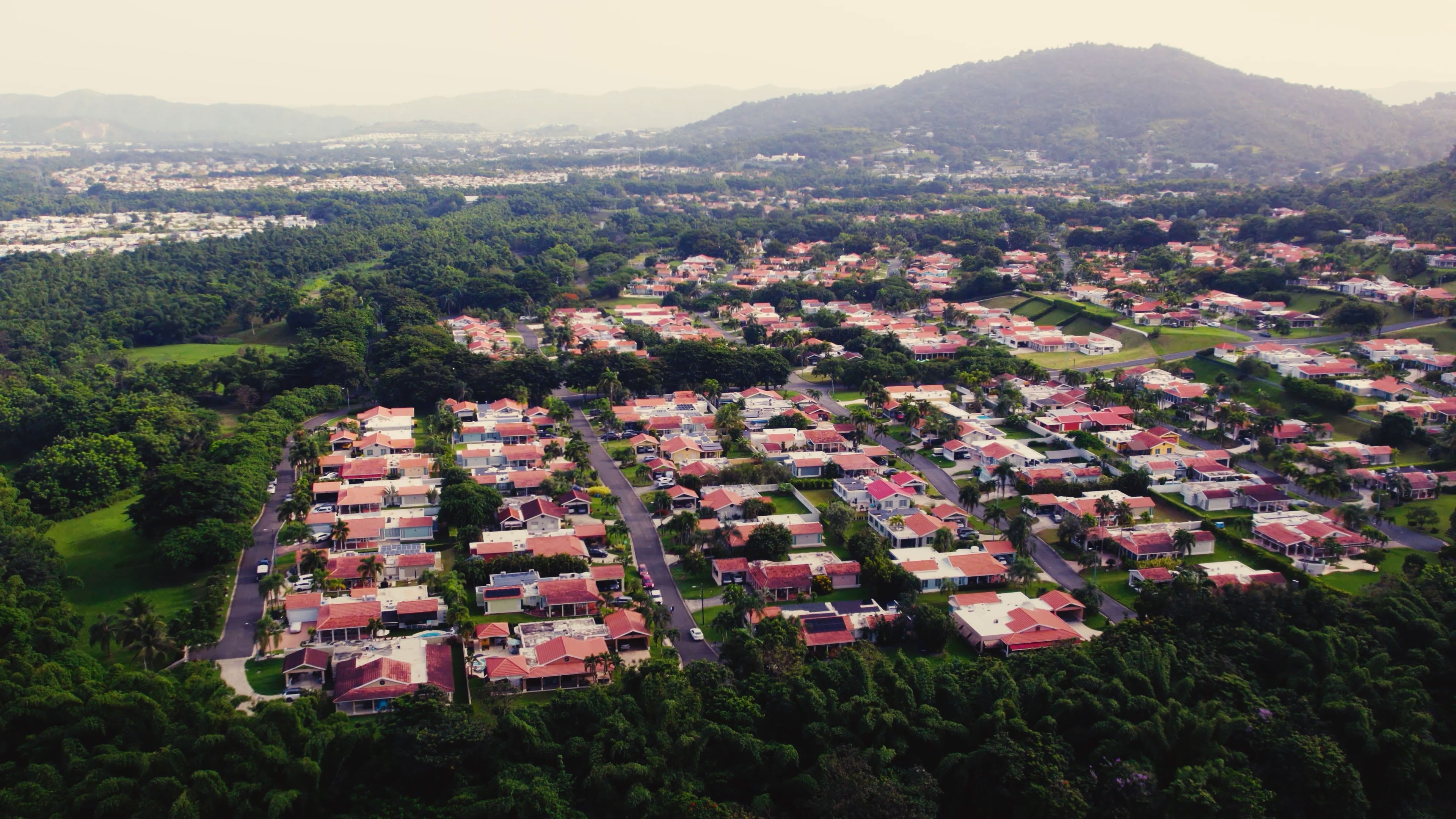 What is a virtual power plant