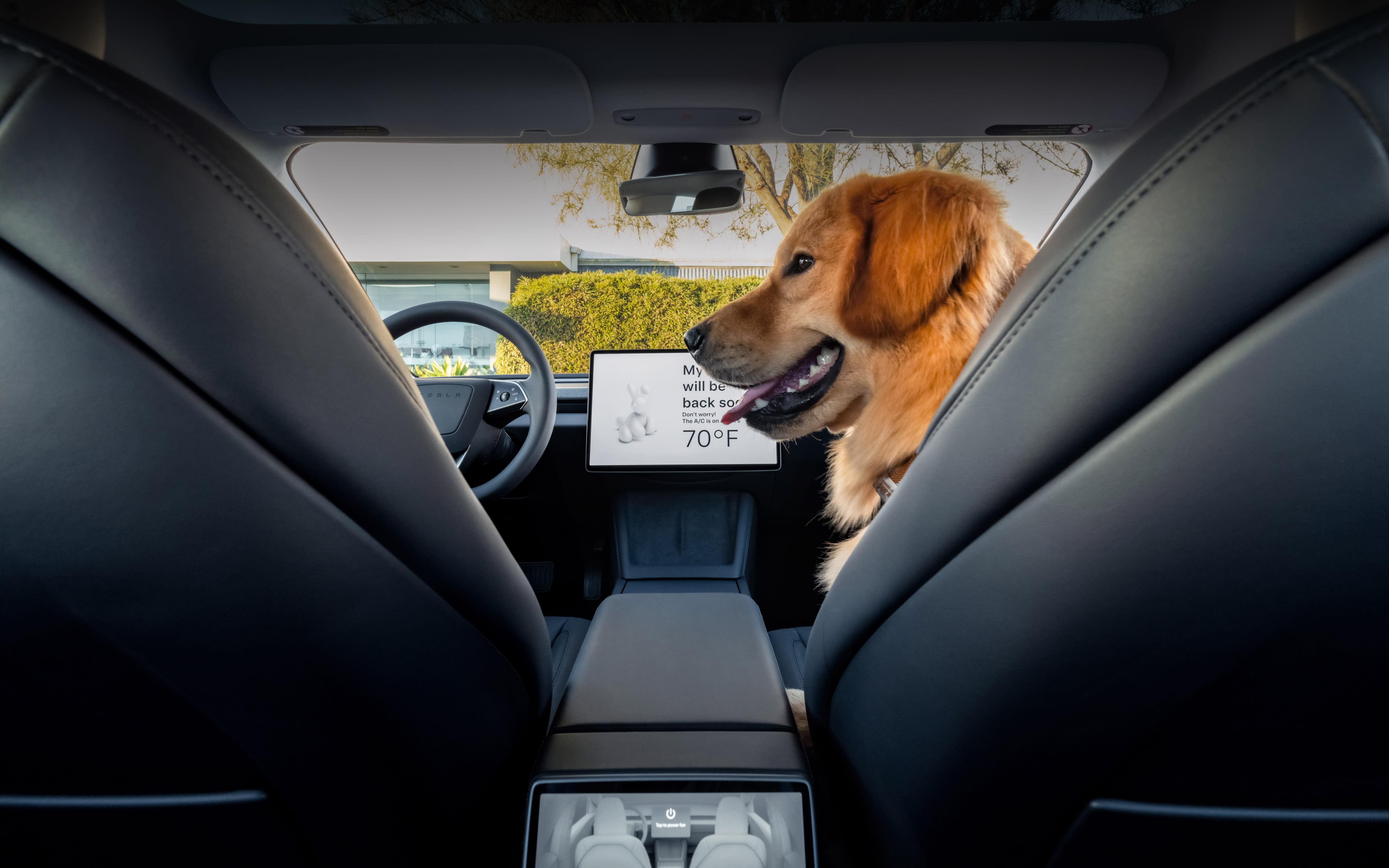 Center touchscreen displaying 'My driver will be back soon' with a golden retriever on the shotgun seat.