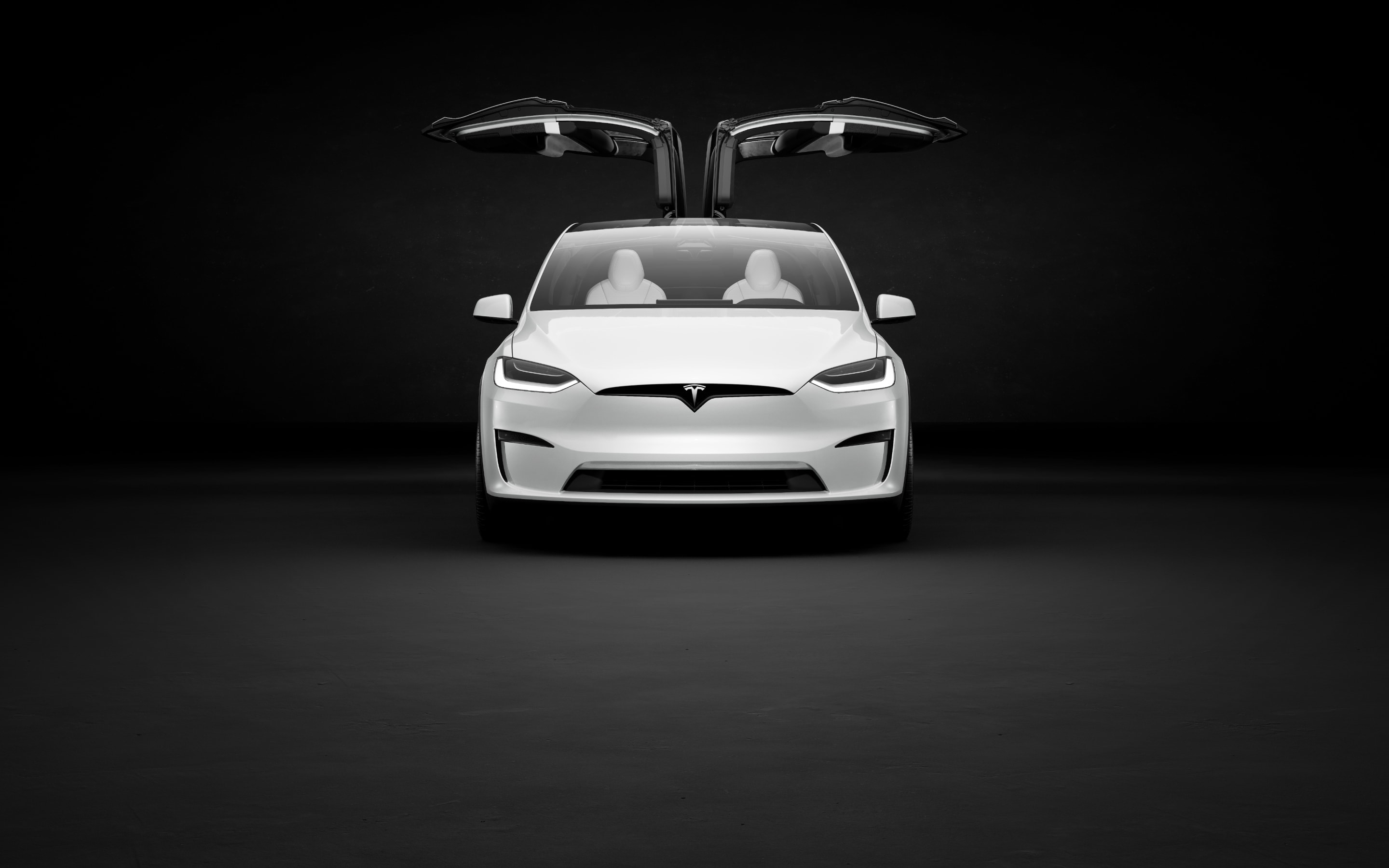 Model X