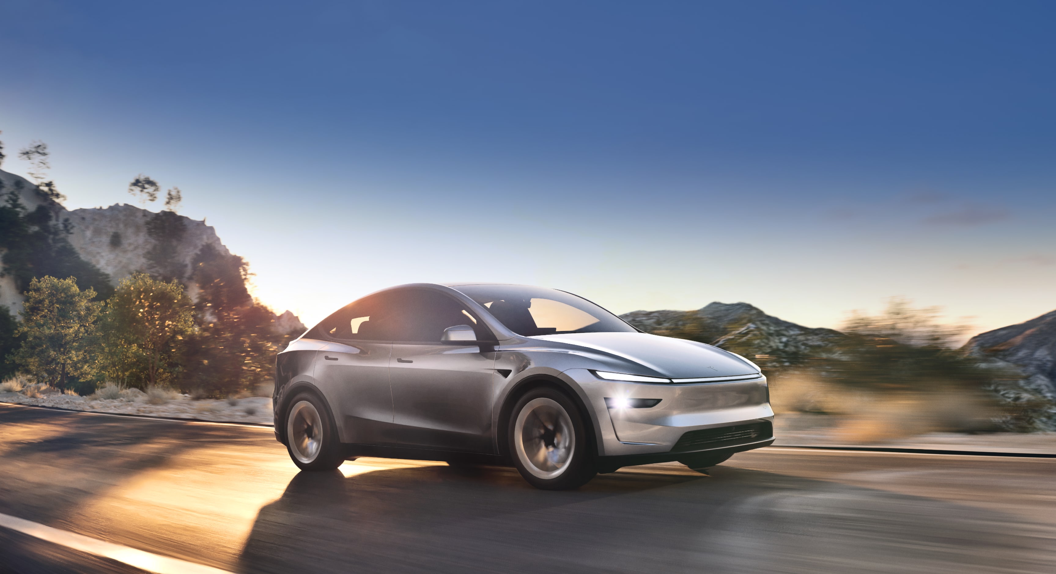 Model Y Hero