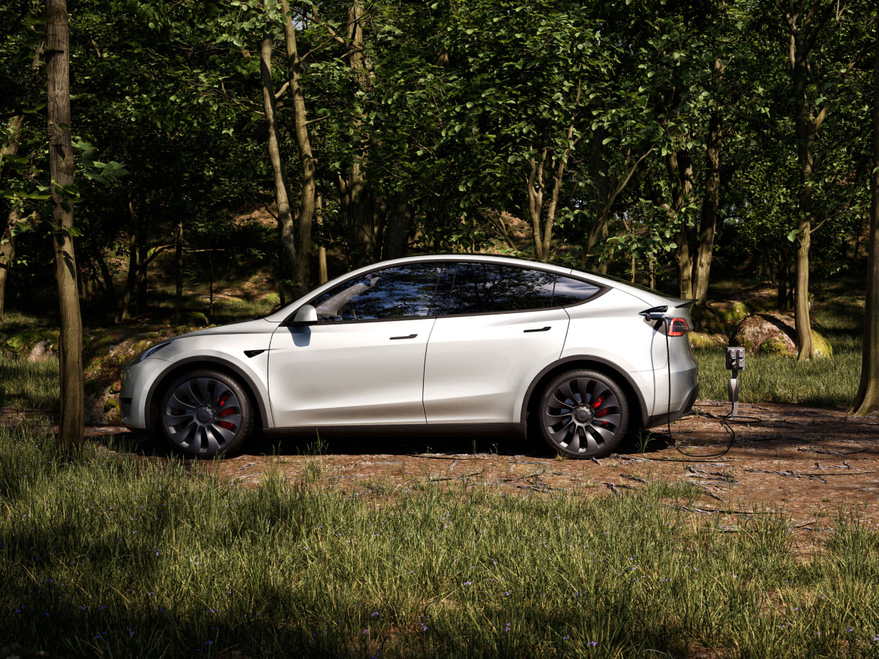 Model Y charge during the day