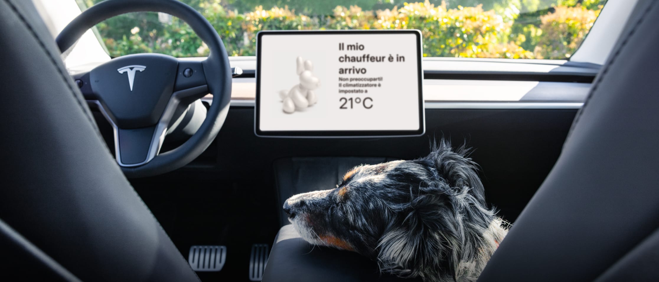 Modalità cane
