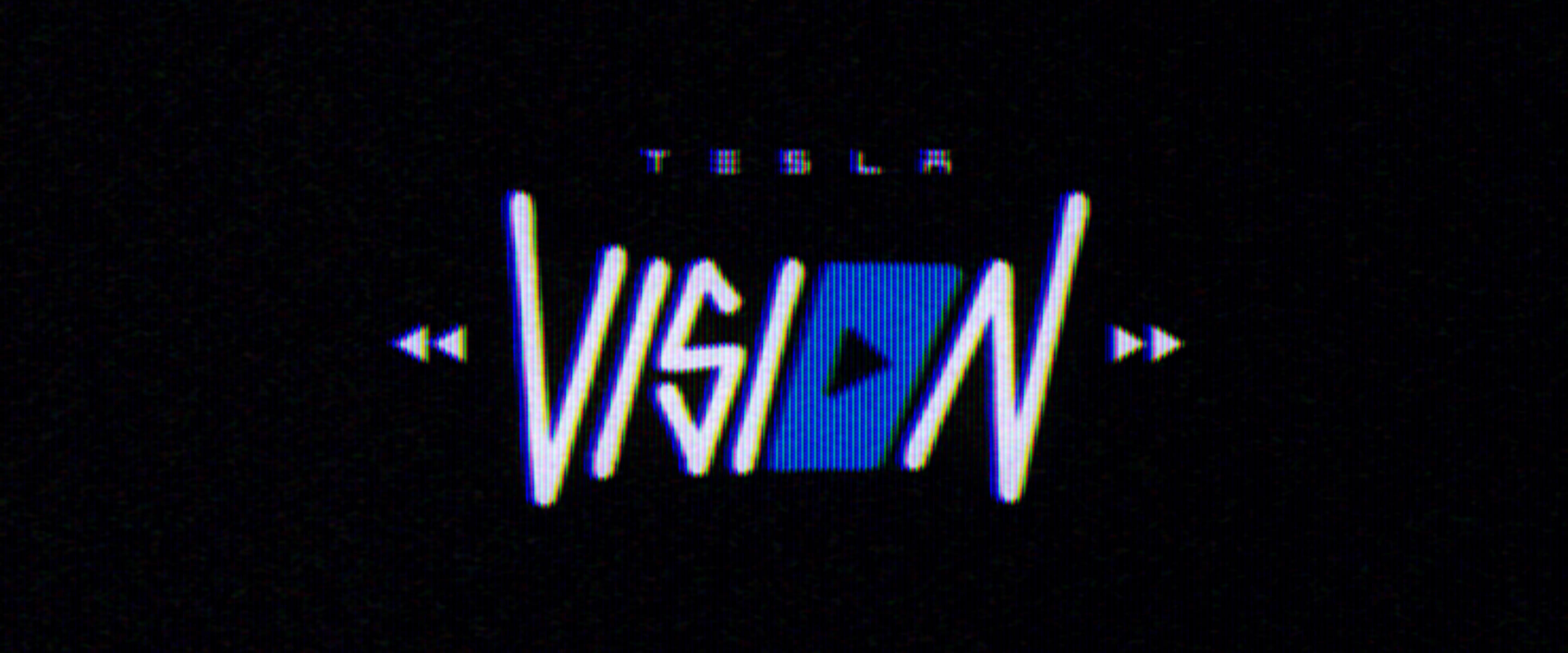 TeslaVision