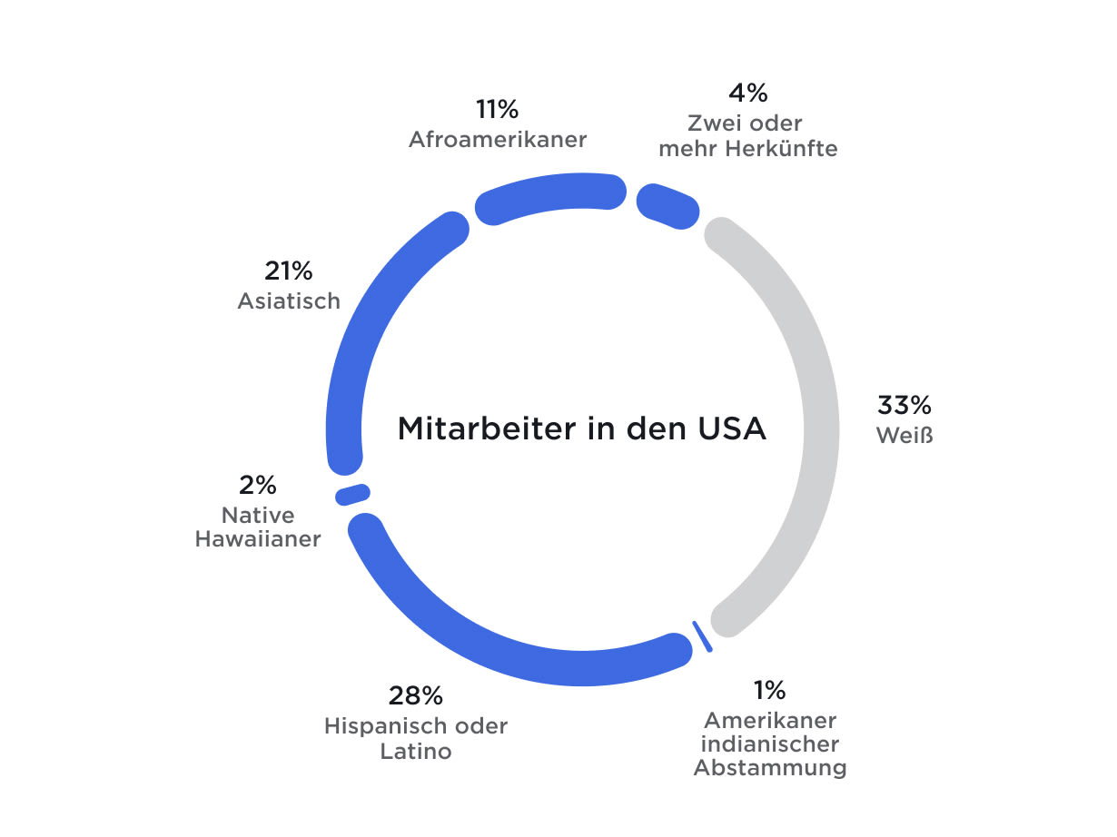 Grafik, die Tesla als Unternehmen mit gesellschaftlicher "Mehrheit in der Minderheit" veranschaulicht