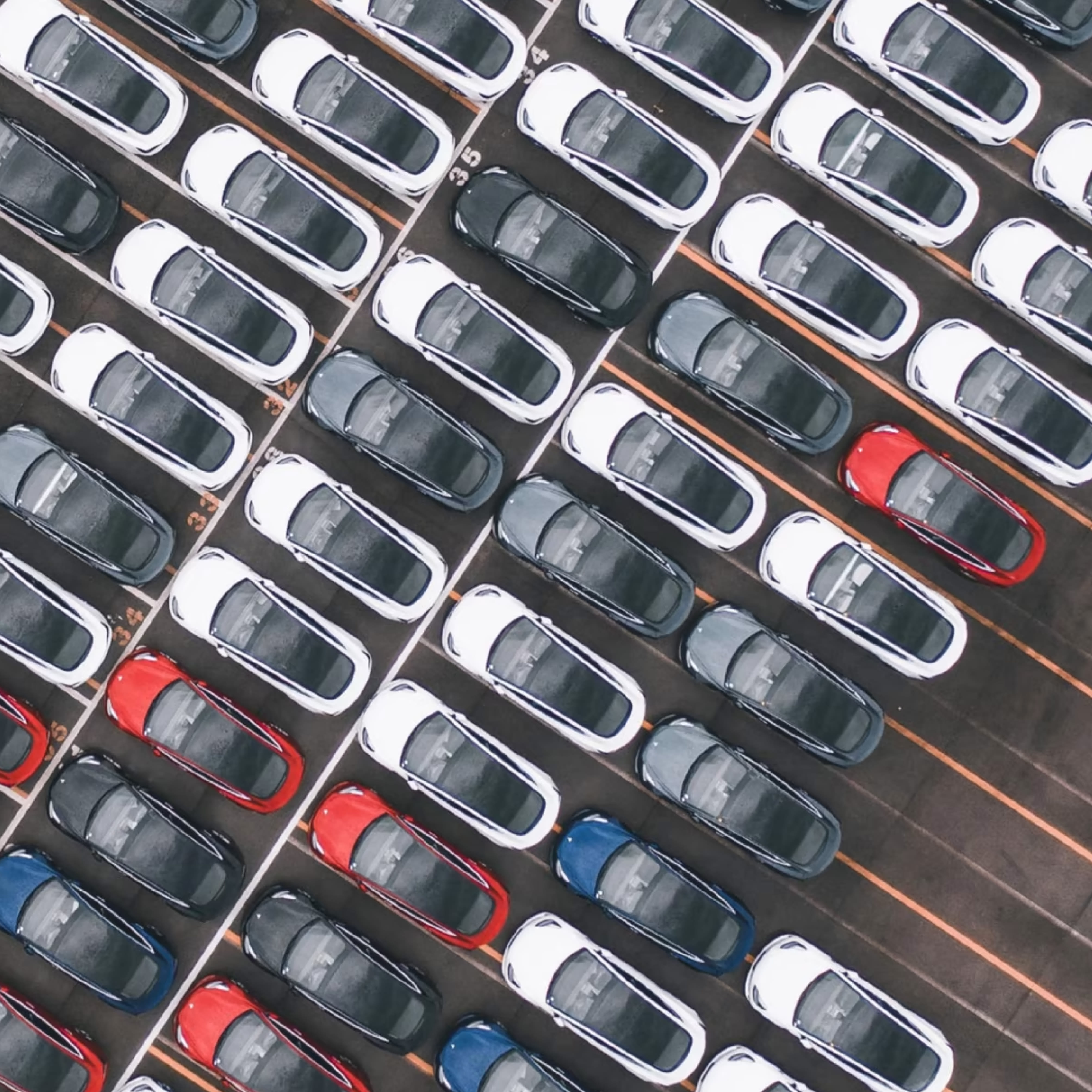 Tesla Vehicles in Parking Lot