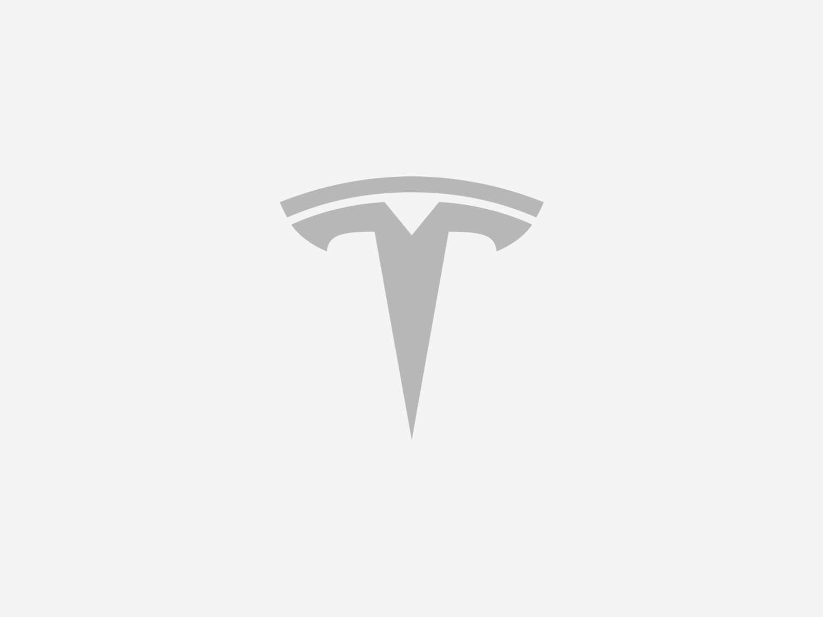 Tesla logo in gray