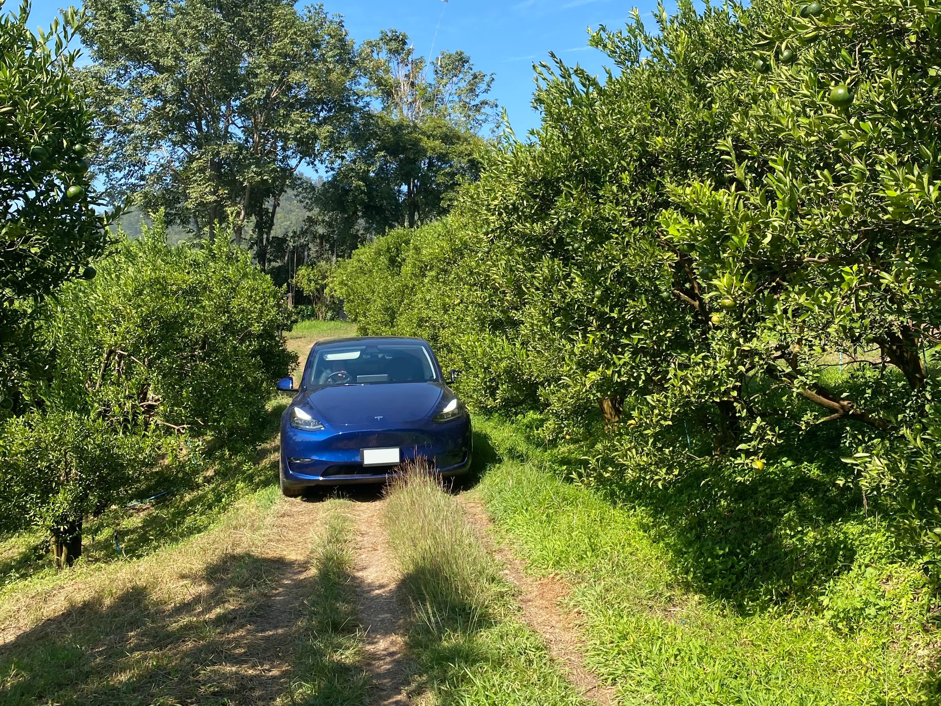 ประสบการณ์ครั้งใหม่กับการเดินทางด้วย Tesla Model Y