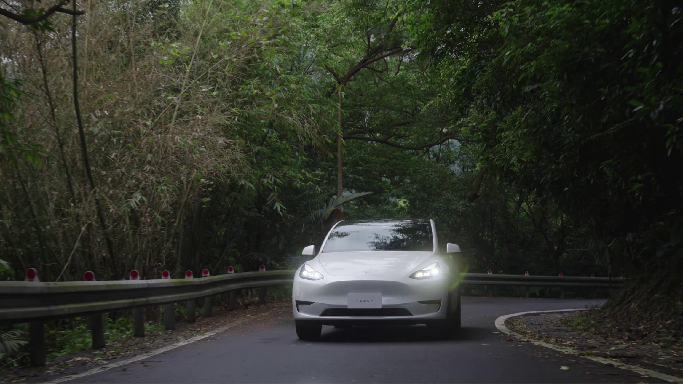 純電野宿，與 Model Y 一起擁抱自然美好