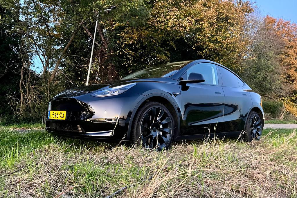 Solid Black Model Y Long Range geparkeerd op gras.