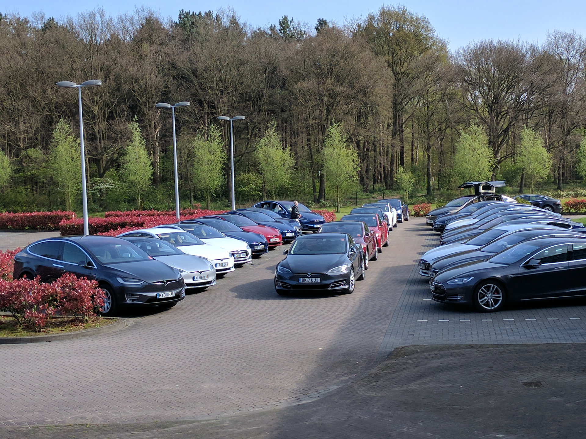 A parking lot full of Model X and Model S vehicles with trees in the background