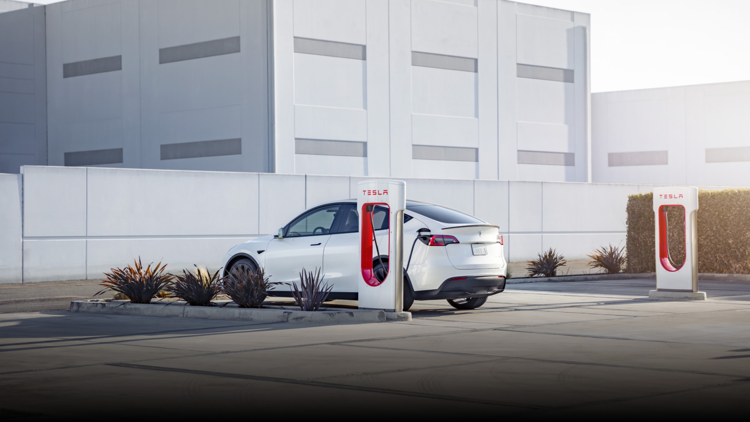 Tesla ファミリー