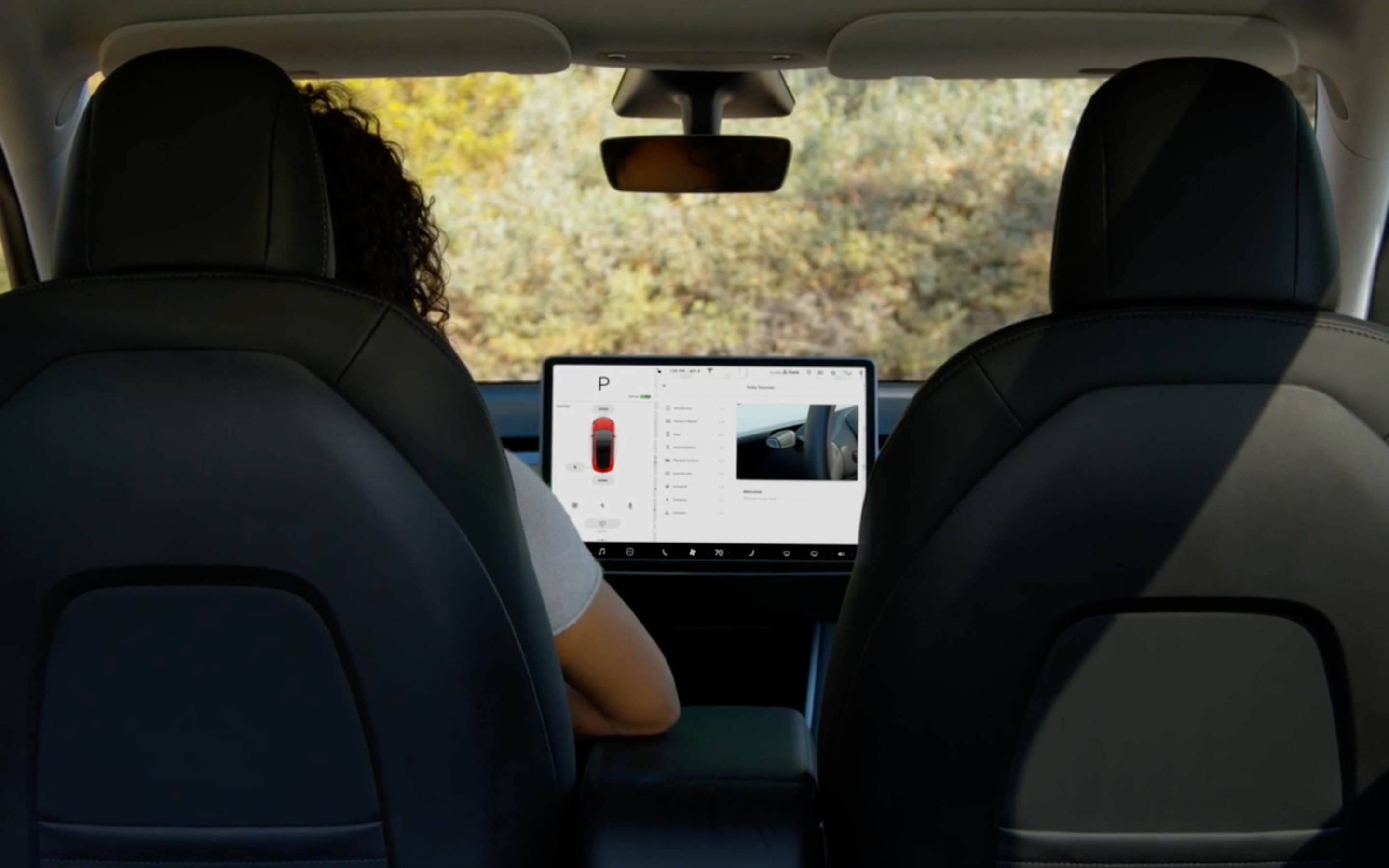 Person sitting in a Tesla vehicle