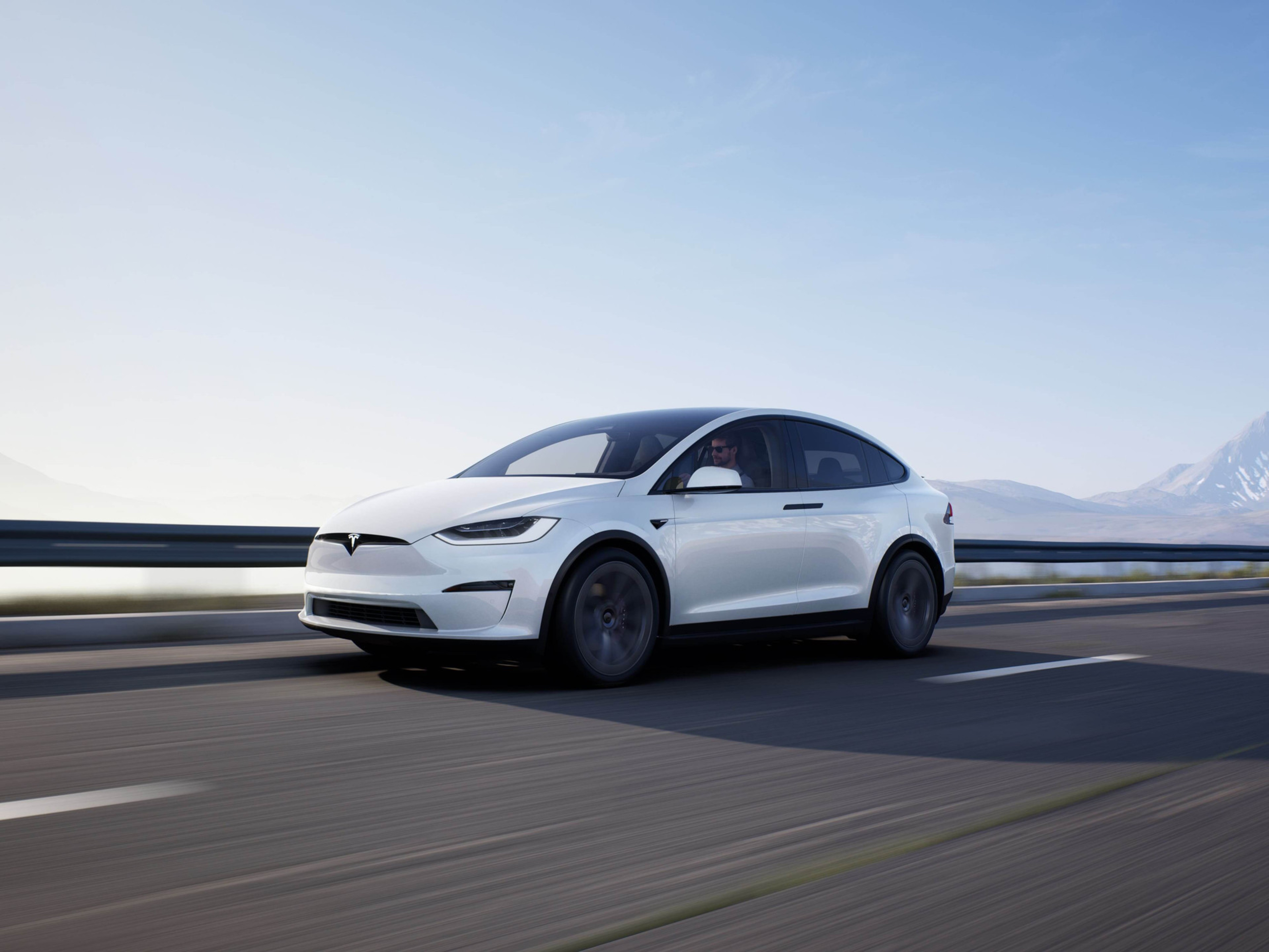 Model X White